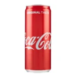 Coca Cola Lattina 330ml
